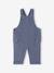 Babyset met T-shirt met lange mouwen + salopet + knuffel grijsblauw - vertbaudet enfant 