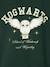 Sweater meisje HARRY POTTER® dennen - vertbaudet enfant 