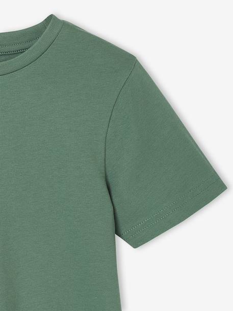 Lot 3 tee-shirts manches courtes garçon bleu+vert - vertbaudet enfant 