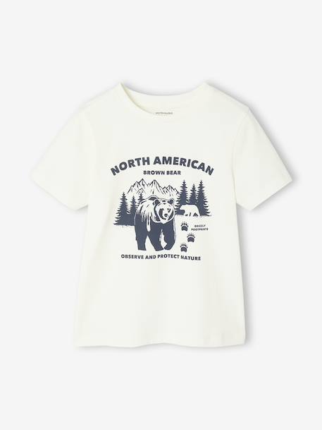 Lot 3 tee-shirts manches courtes garçon bleu+vert - vertbaudet enfant 