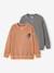Lot 2 de sweats garçon unis col rond caramel - vertbaudet enfant 