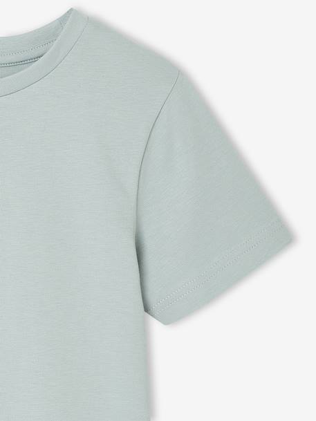 Lot 3 tee-shirts manches courtes garçon bleu+vert - vertbaudet enfant 