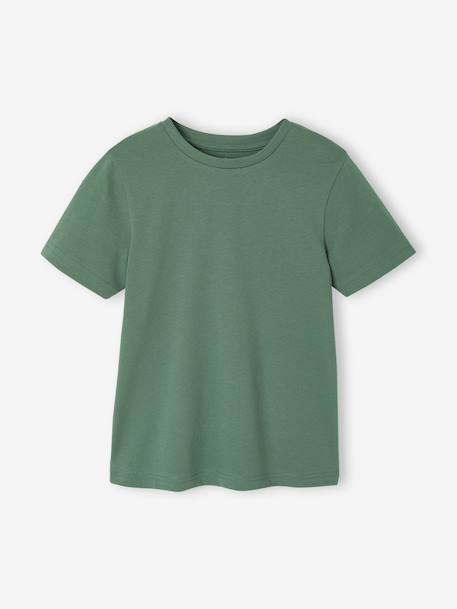 Lot 3 tee-shirts manches courtes garçon bleu+vert - vertbaudet enfant 