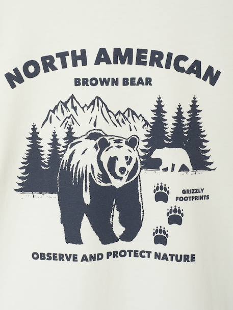 Lot 3 tee-shirts manches courtes garçon bleu+vert - vertbaudet enfant 