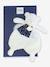 CLAIR DE LUNE - Ours Doudou 26 cm - blanc - vertbaudet enfant 