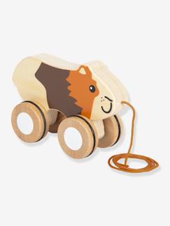 Jouet-Jeux de société-Jeux d'adresse et d'équilibre-Animal à tirer MEERSCHWEINCHEN small foot