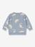 Sweat dinosaures gris - vertbaudet enfant 