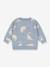 Sweat dinosaures gris - vertbaudet enfant 
