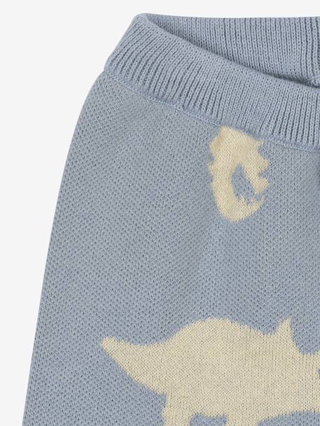 Broek met dinosaurusmotieven KONGES SLOJD grijs - vertbaudet enfant 