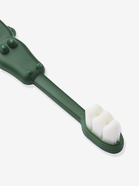 Fabio set LIEWOOD tandenborstels groen+rozen - vertbaudet enfant 