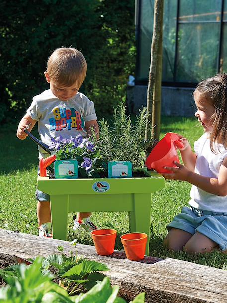 De gevulde plantenbak ECOIFFIER meerkleurig - vertbaudet enfant 