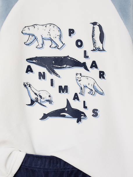 Lot 2 pyjamas garçon velours animaux polaires bleu ciel - vertbaudet enfant 