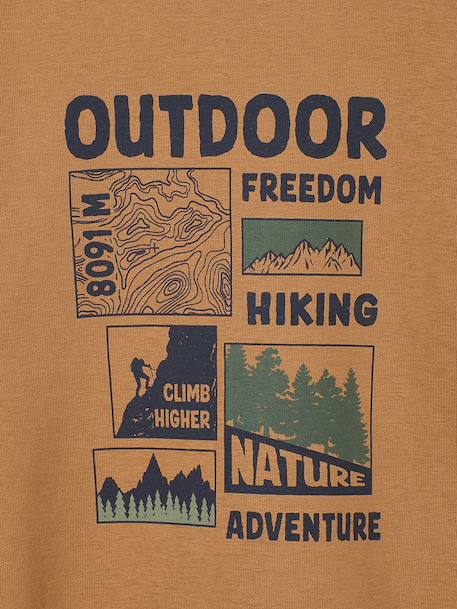 Lot 2 Sweats Col Rond Print garçon noix de pécan - vertbaudet enfant 