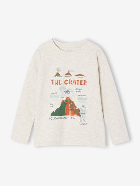 T-shirt manches longues imprimé garçon avec reliefs blanc chiné+noix de pécan - vertbaudet enfant 
