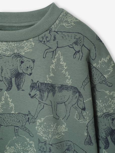 Sweat imprimé garçon beige chiné+bleu moyen+vert sauge - vertbaudet enfant 