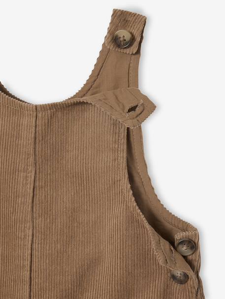 Salopet met korte broek voor baby's in ribfluweel pecannoot - vertbaudet enfant 