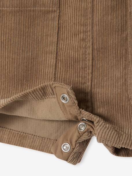 Salopet met korte broek voor baby's in ribfluweel pecannoot - vertbaudet enfant 