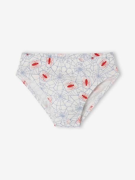 Set van 5 SPIDERMAN Slips voor jongens chambrayblauw - vertbaudet enfant 