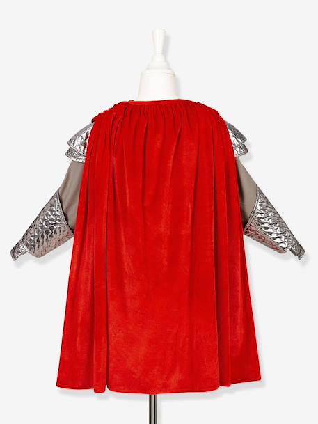 Armure roi Arthur argent - vertbaudet enfant 