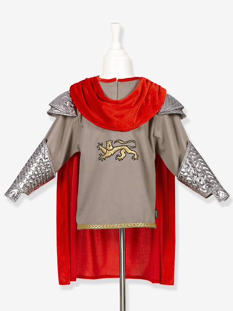 Armure roi Arthur argent - vertbaudet enfant 