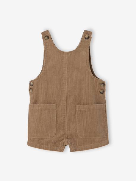 Salopet met korte broek voor baby's in ribfluweel pecannoot - vertbaudet enfant 