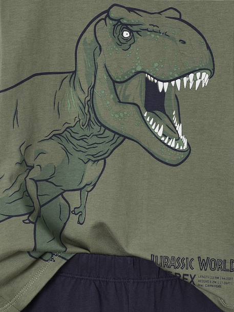 Tweekleurige pyjama JURASSIC WORLD® jongen korstmos - vertbaudet enfant 