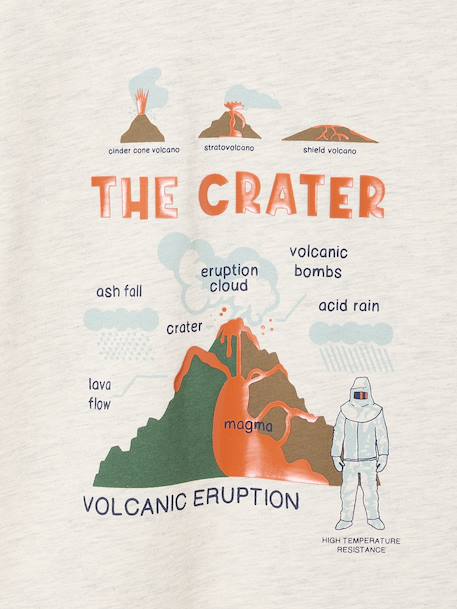 T-shirt manches longues imprimé garçon avec reliefs blanc chiné+noix de pécan - vertbaudet enfant 