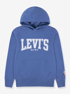 Garçon-Pull, gilet, sweat-Sweat à capuche Great Highway Hoodie LEVI'S