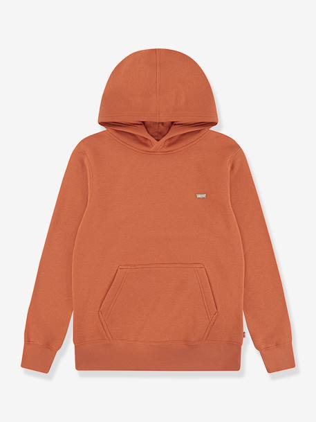 Garçon-Sweat à capuche Mini Batwing Hoodie LEVI'S