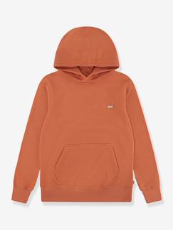 -Sweater met capuchon Mini Batwing Hoodie LEVI'S® 