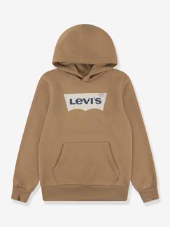 Garçon-Pull, gilet, sweat-Sweat à capuche