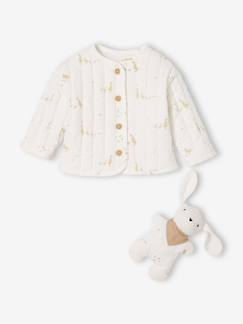 -Babypakje jas gewatteerd in fluweel / velours + knuffels 