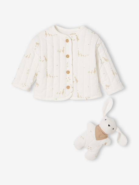 Babypakje jas gewatteerd in fluweel / velours + knuffels ecru - vertbaudet enfant 