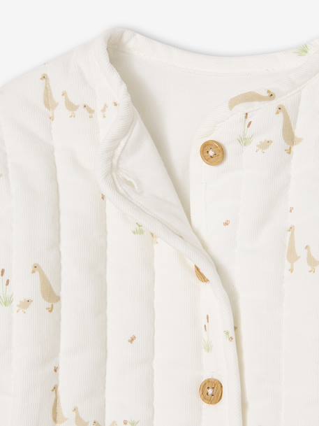 Veste bébé matelassée en velours + doudou coffret cadeau naissance écru - vertbaudet enfant 