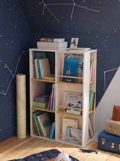 Slaapkamer en Opbergoplossingen-Opbergmeubel-Koffer-Bibliotheekmeubel en speelgoedopslag 