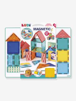 -1e magnetische constructies
