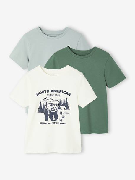 Lot 3 tee-shirts manches courtes garçon bleu+vert - vertbaudet enfant 
