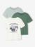 Lot 3 tee-shirts manches courtes garçon bleu+vert - vertbaudet enfant 