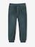 Pantalon style jogger doublé polaire garçon facile à enfiler encre+NOISETTE+vert sapin - vertbaudet enfant 