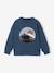 Sweat doublé sherpa imprimé garçon bleu canard - vertbaudet enfant 