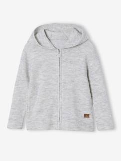 Garçon-Pull, gilet, sweat-Gilet zippé à capuche garçon