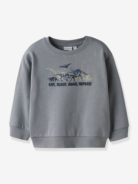 Sweat-shirt garçon NMMVILDAR NAME IT beige+bleu moyen+encre - vertbaudet enfant 