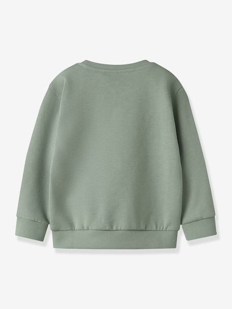 Sweat-shirt imprimé garçon NMMVIMO NAME IT marine+vert anglais - vertbaudet enfant 