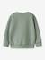 Sweat-shirt imprimé garçon NMMVIMO NAME IT marine+vert anglais - vertbaudet enfant 