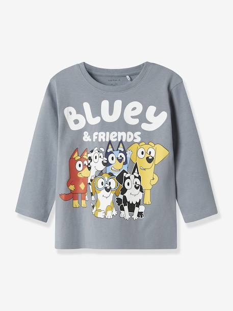 Garçon-T-shirt à manches longues pour garçon avec Bluey NMMALEX NAME IT