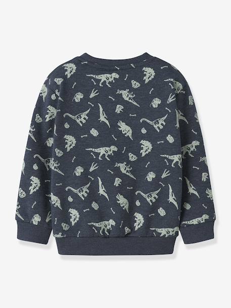 Sweat-shirt imprimé garçon NMMVIMO NAME IT marine+vert anglais - vertbaudet enfant 