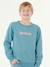 Sweat col rond Tropic Daze enfant bleu ciel - vertbaudet enfant 