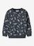 Sweat-shirt imprimé garçon NMMVIMO NAME IT marine+vert anglais - vertbaudet enfant 