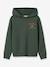 Sweat-shirt à capuche garçon NKMNEWI NAME IT vert - vertbaudet enfant 