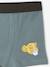 Lot de 5 boxers Disney Le Roi Lion lichen - vertbaudet enfant 
